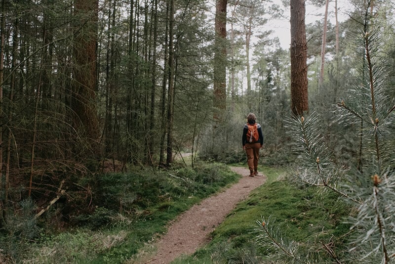 coach zwolle wandelcoach dalfsen hattem veluwe overijssel natuurcoaching buiten therapie act