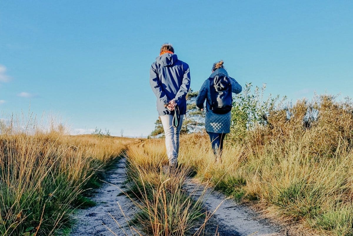Wandelcoaching voor authentiek leiderschap in de natuur – coachtraject op de Veluwe, Drenthe en rondom Zwolle